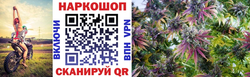 Виды наркоты Гурьевск A-PVP  Конопля  Мефедрон  Амфетамин  Cocaine  ГАШ 