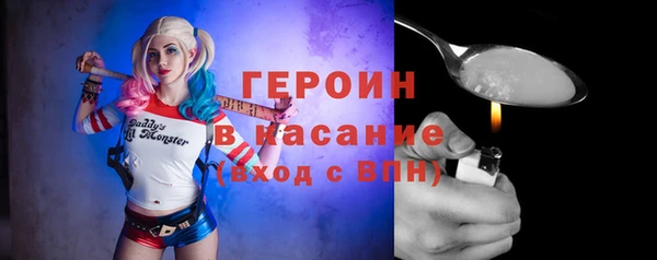 индика Галич