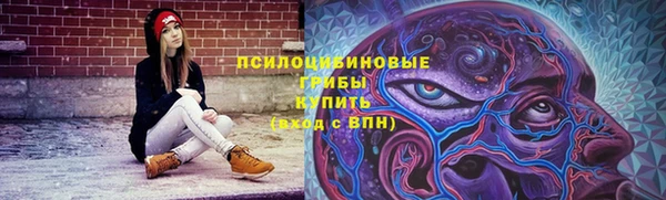индика Галич