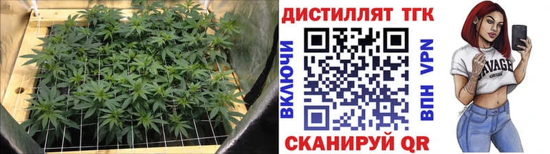 ТГК вейп с тгк MEGA маркетплейс Гурьевск