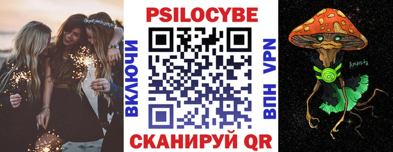 закладка  Гурьевск  Галлюциногенные грибы Psilocybine cubensis 