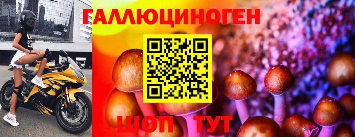 Псилоцибиновые грибы Magic Shrooms  Вход с VPN  Гурьевск 