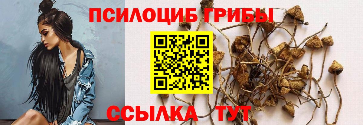 A PVP Гурьевск