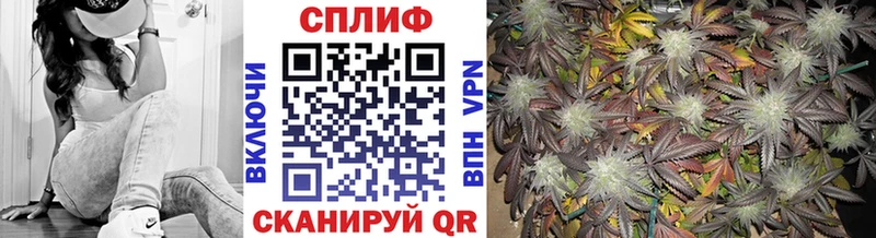 Каннабис гибрид Гурьевск